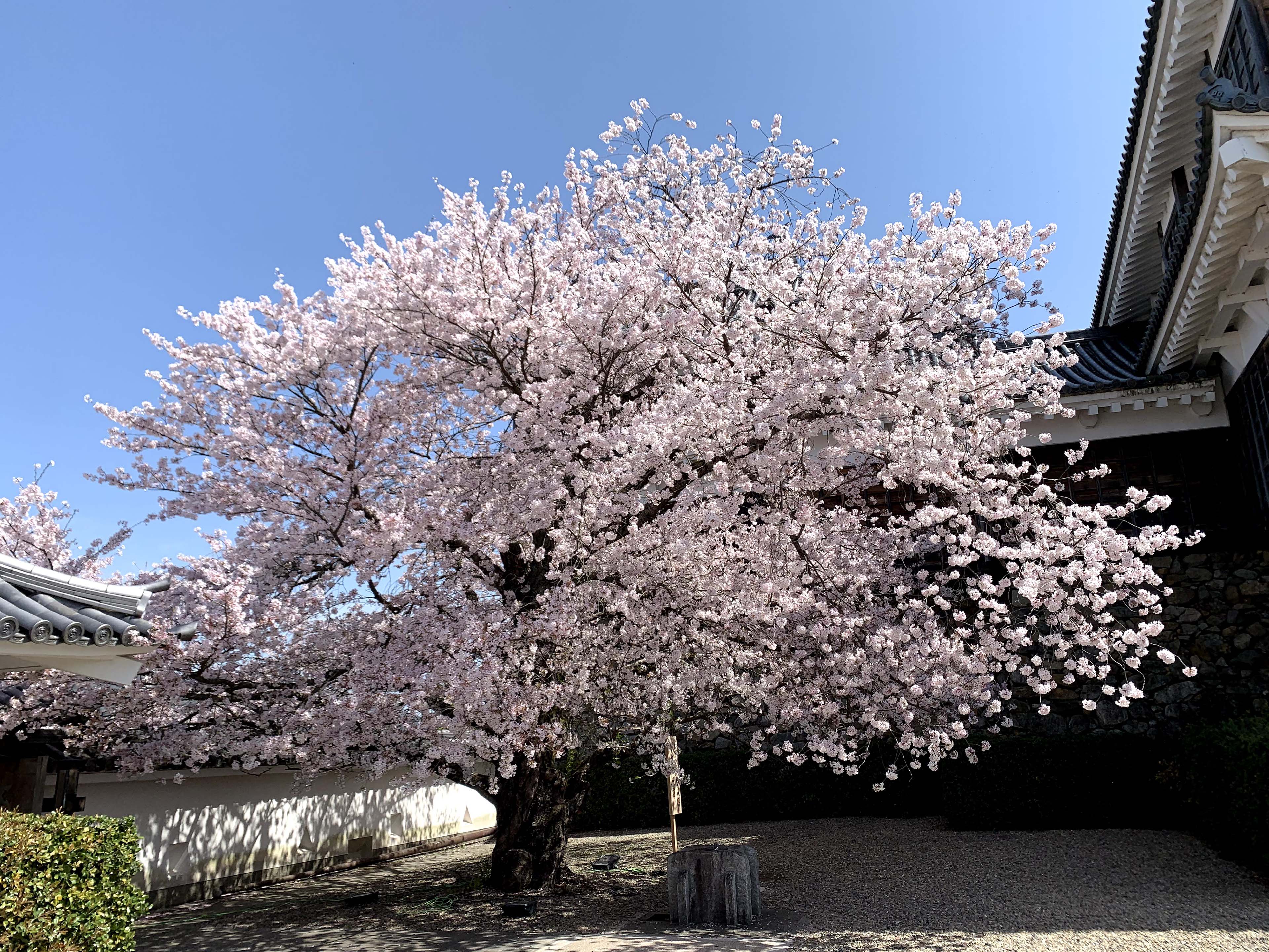 福知山城