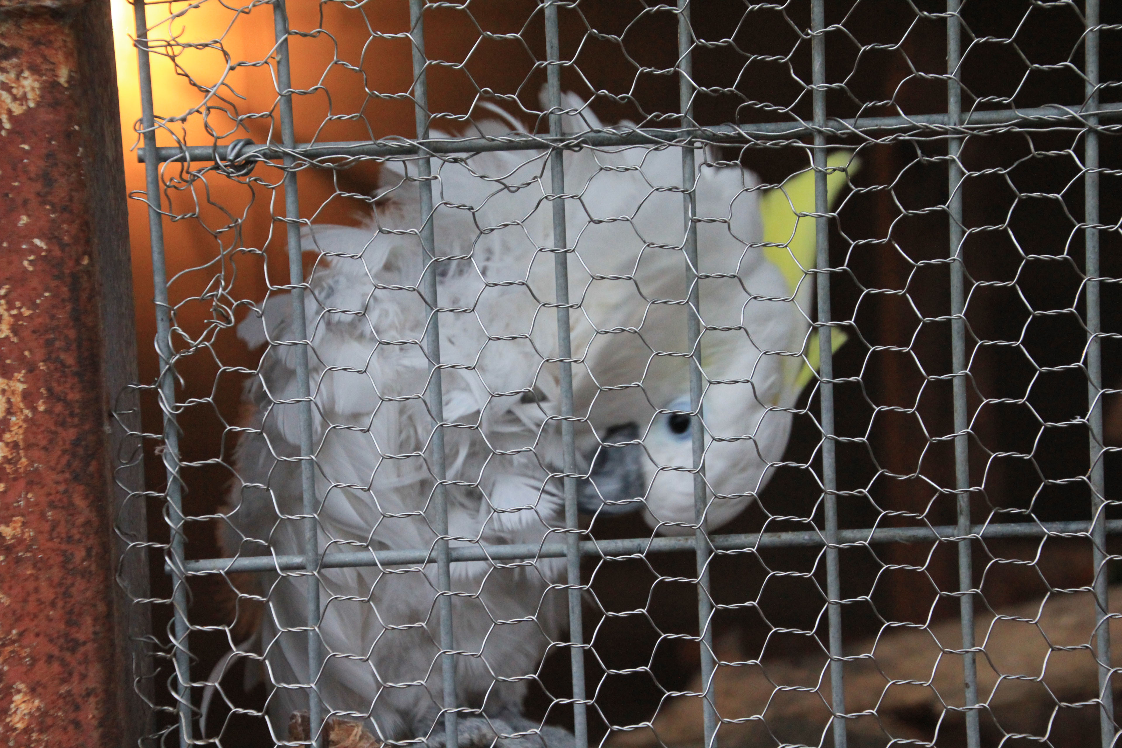 福知山市動物園