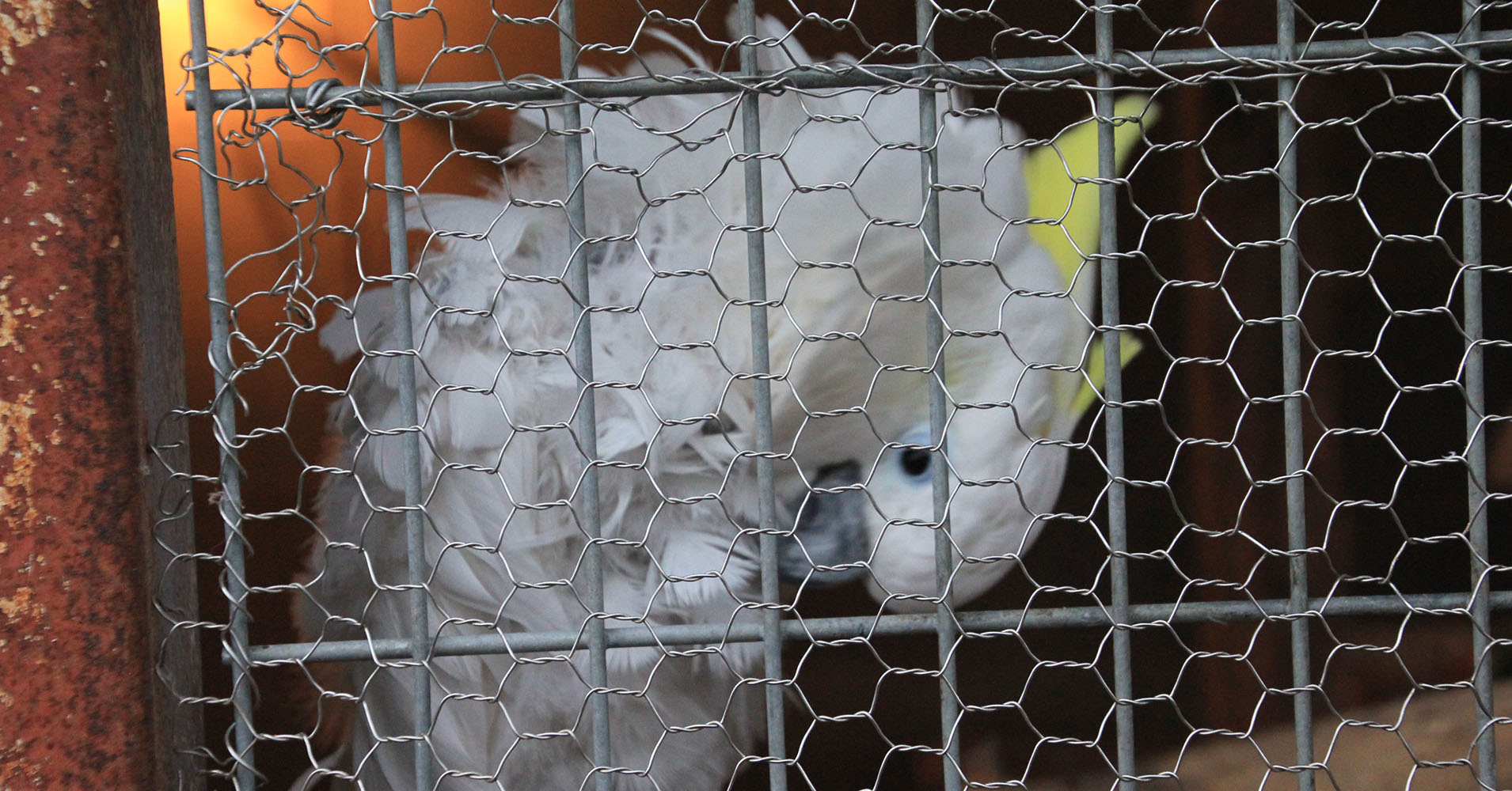福知山市動物園